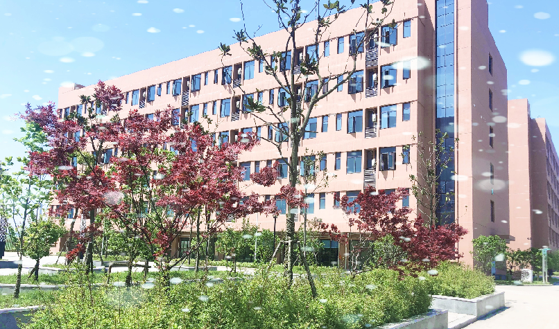 1618889944(1).jpg 1618889944(1).jpg